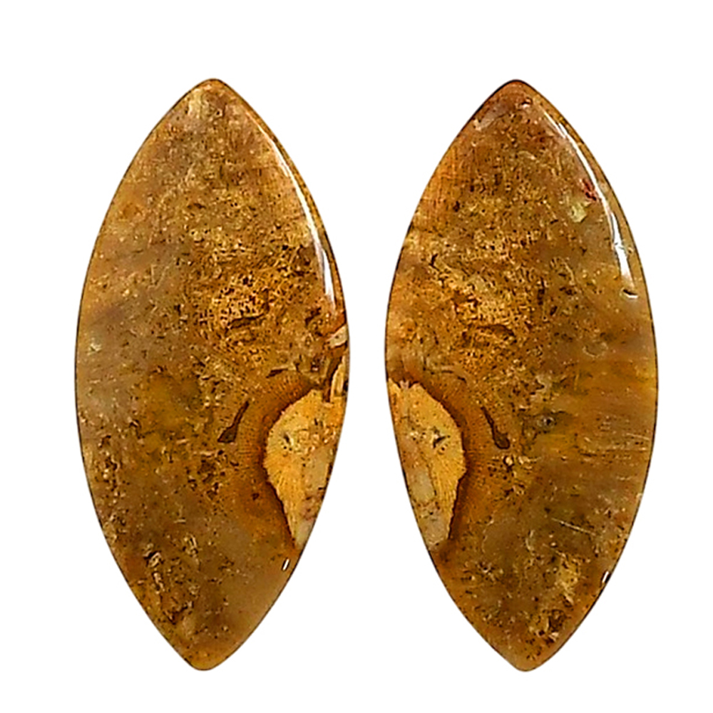 Plume Agate Natural Loose Gemstone Marquise 13.3x28.9x4 mm Fall Gift ...