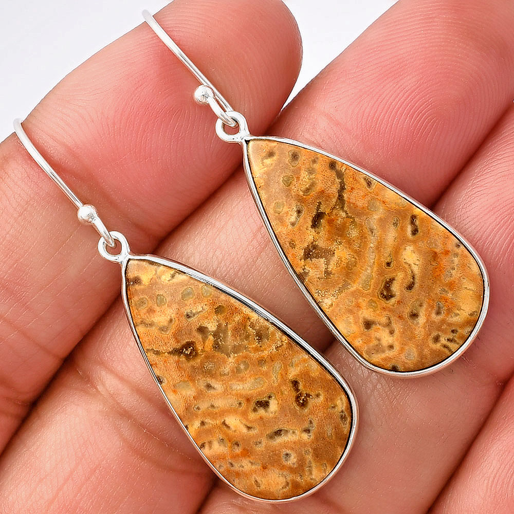 Natural Palm Root Fossil Agate 925 Sterling Silver Earrings Jewelry E-1001