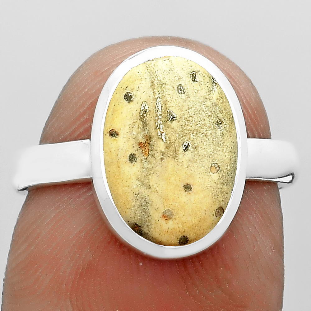 Natural Palm Root Fossil Agate 925 Sterling Silver Ring s.7 Jewelry R-1004